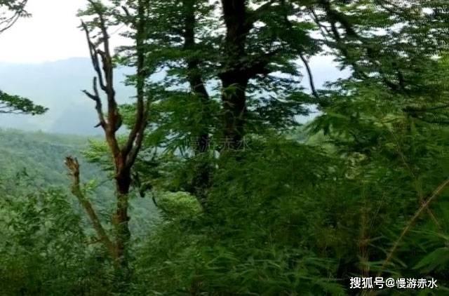 意媒：布雷斯特对布拉西耶要价1500万欧，米兰只愿支付1000万欧