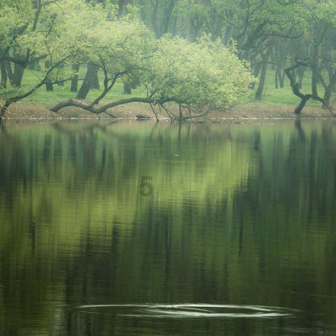 植保无人机飞手培训 为农业插上科技翅膀