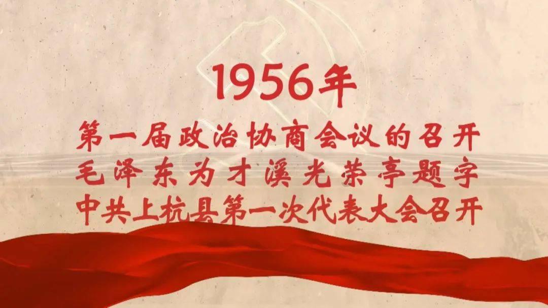 可怜猫的救援